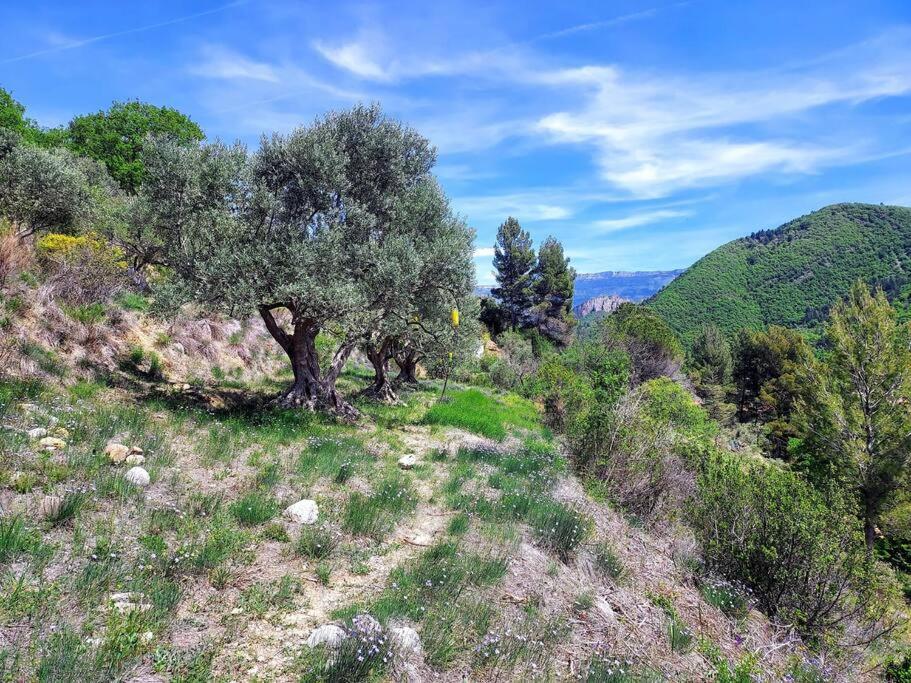 La Maison De Ninia ديني-ليه-بان المظهر الخارجي الصورة